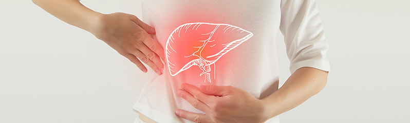 胆道がん・膵臓がん・肝臓がんのイメージ