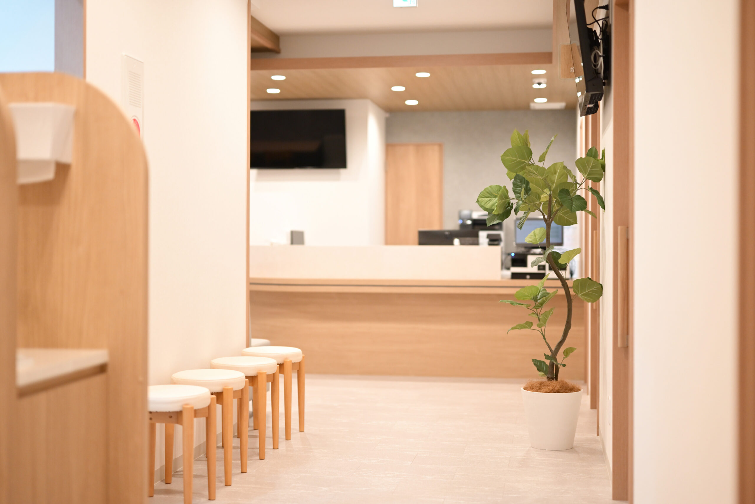 メインビジュアル01（PC）